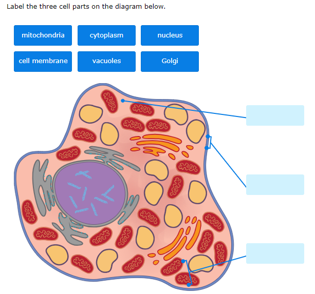 biology-worldsciencechampionship